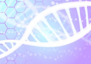 体内から悪いものを取り除く「クリーンアップメディシン」